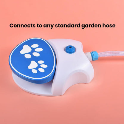 Tap That Paw - Keep your dog cool, happy, and hydrated this summer