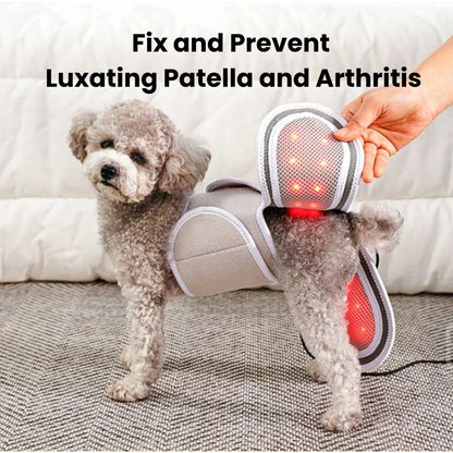 Dog Knee Red Light Therapy for Luxating Patella & Arthritis – Help Your Dog Run Again
