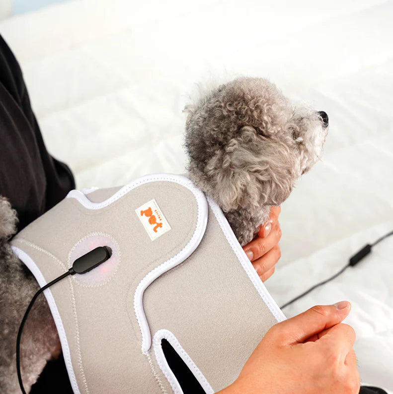 Dog Knee Red Light Therapy for Luxating Patella & Arthritis – Help Your Dog Run Again