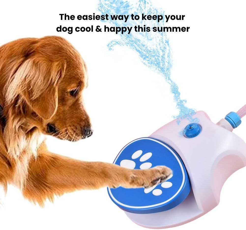 Tap That Paw - Keep your dog cool, happy, and hydrated this summer