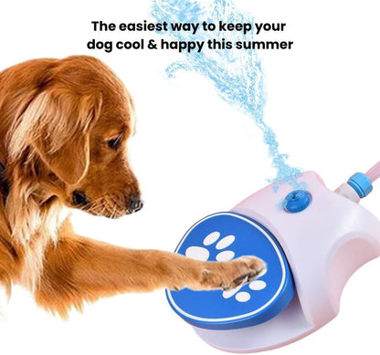 Tap That Paw - Keep your dog cool, happy, and hydrated this summer