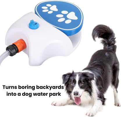 Tap That Paw - Keep your dog cool, happy, and hydrated this summer