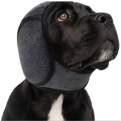 QuietPup™ - Calm during storms, fireworks, and car rides